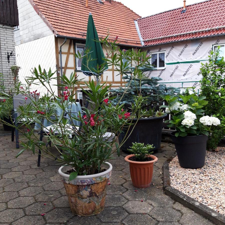 Ferienwohnung Am Berge Wolfshagen  Buitenkant foto